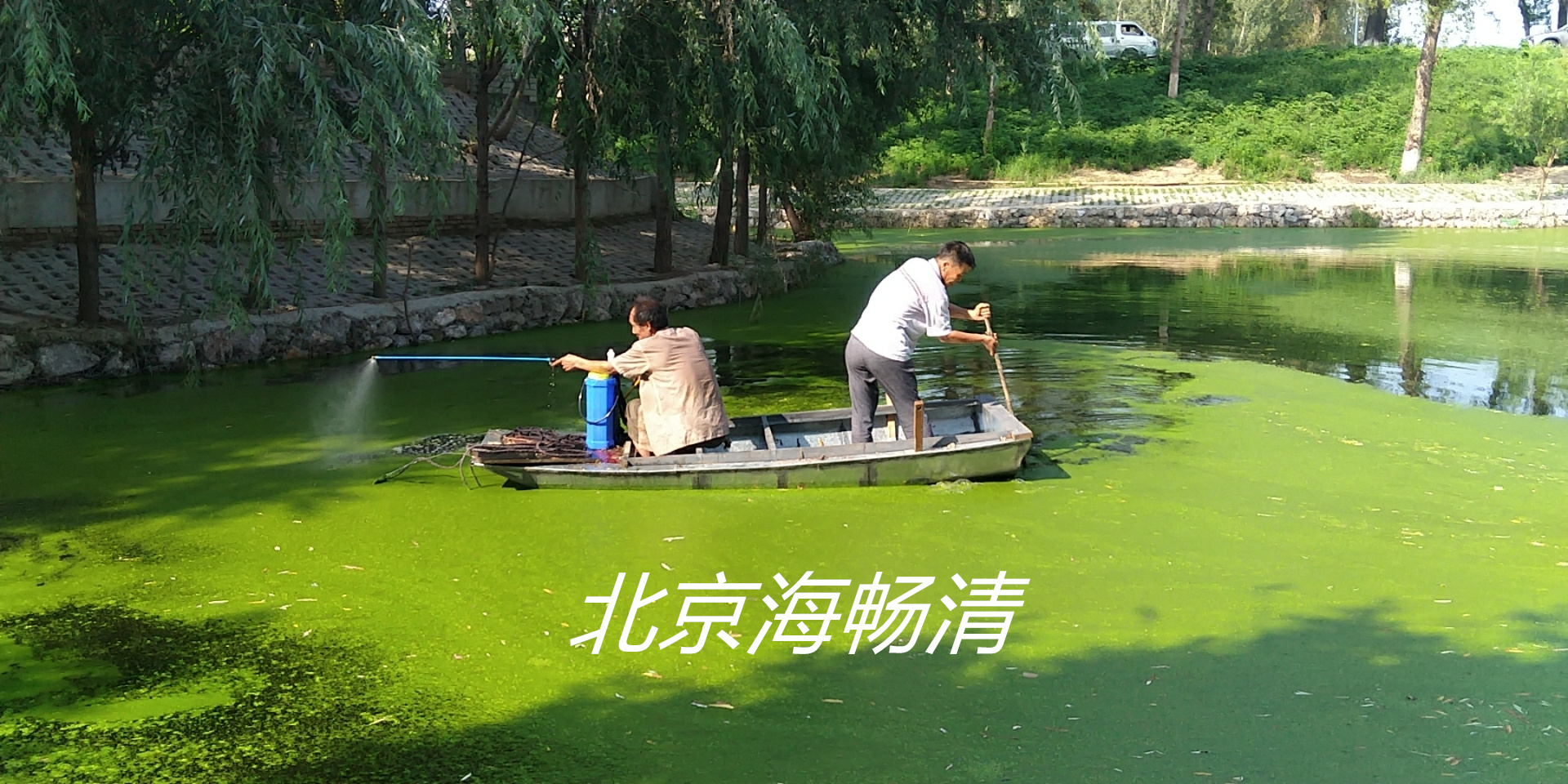 浮萍一泼灵无人机喷洒