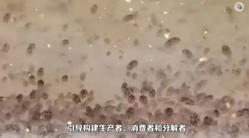 网文图片1.webp.png