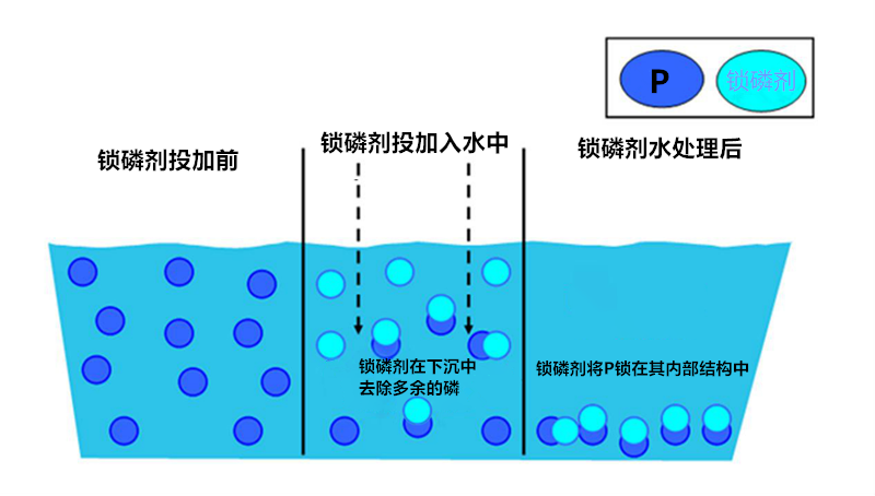 锁磷剂使用图片2-20250115.png