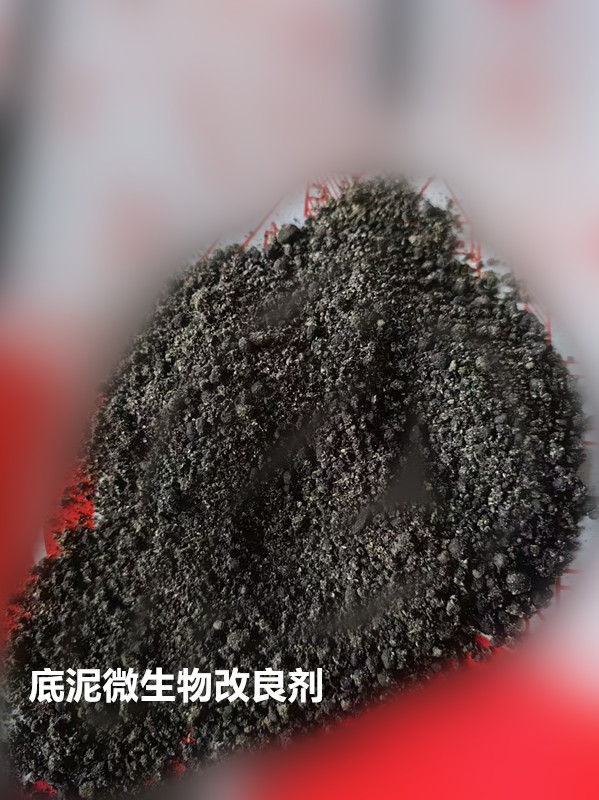 复合微生物菌剂-50亿含量_副本.jpg